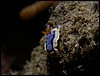dscn5621.jpg