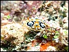 dscn5660.jpg