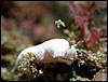 dscn5663.jpg