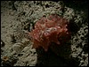 dscn5700.jpg