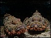 dscn5733.jpg