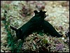 dscn5772.jpg