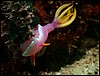 dscn5792.jpg