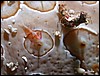 dscn5795.jpg