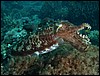 dscn5823.jpg