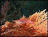 dscn5895.jpg