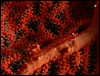 dscn5908.jpg