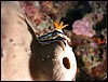 dscn5975.jpg