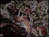dscn6028.jpg