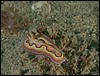 dscn6053.jpg