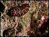 dscn6064.jpg