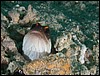 dscn6087.jpg