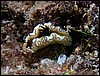 dscn6091.jpg