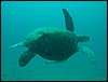 dscn6361.jpg