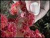 dscn6366.jpg