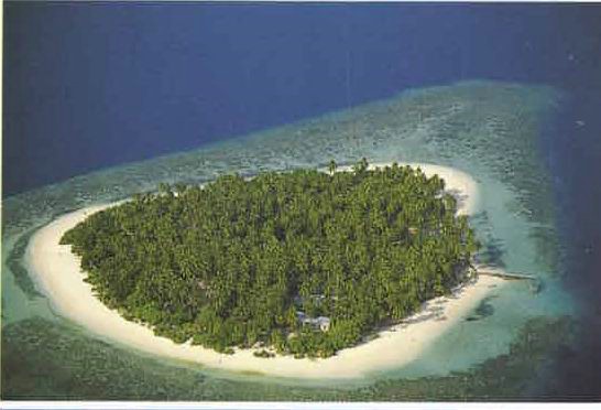 amaldive02.jpg