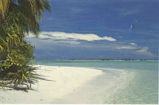 amaldive03.jpg