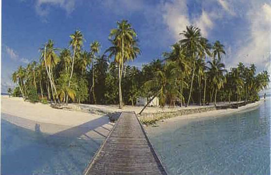 amaldive04.jpg
