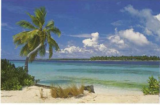 amaldive05.jpg