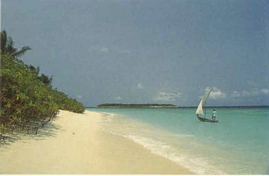amaldive06.jpg