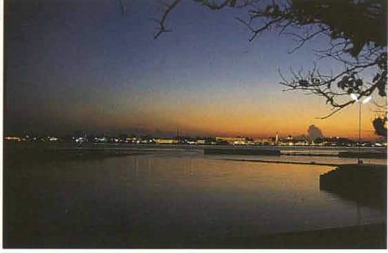 amaldive07.jpg
