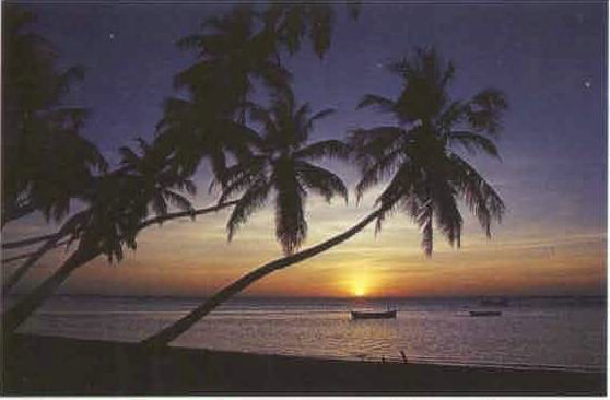 amaldive08.jpg