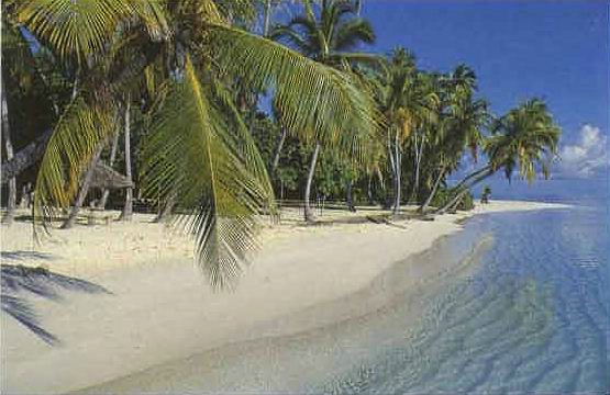 amaldive10.jpg