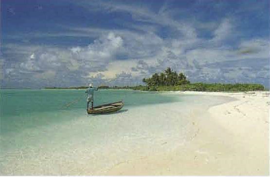 amaldive11.jpg