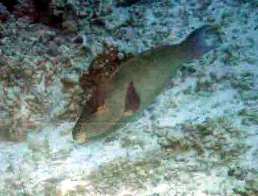 foto01a.jpg