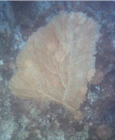 foto04.jpg