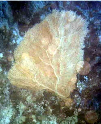 foto04a.jpg