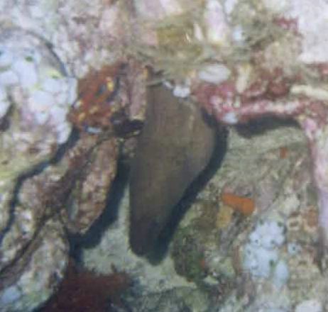 foto06.jpg