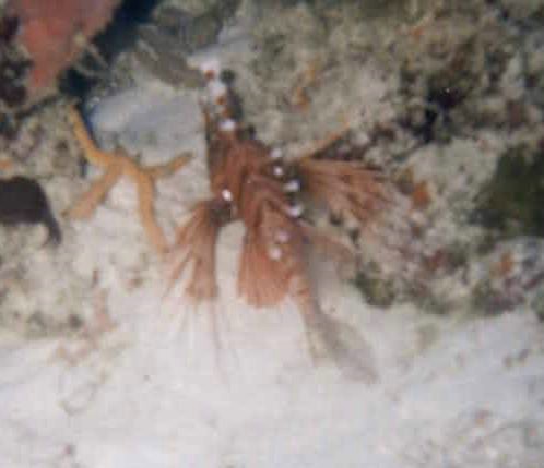 foto10.jpg