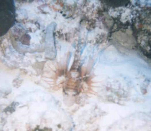foto11.jpg