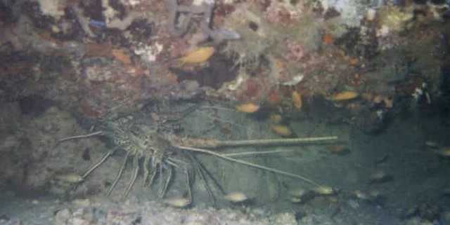 foto12.jpg