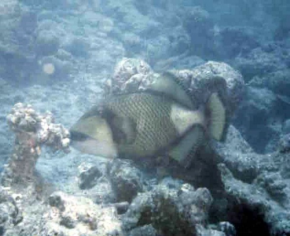foto19a.jpg