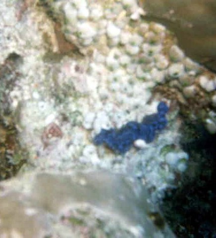 foto21a.jpg