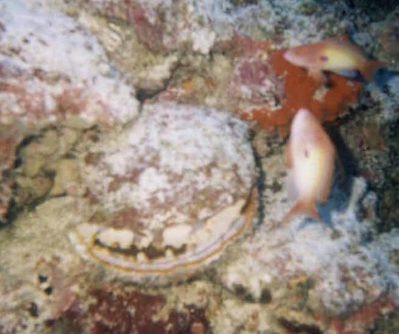 foto22.jpg