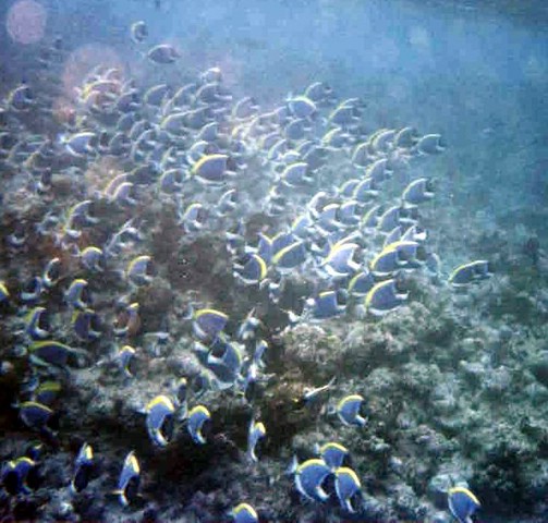 foto27a.jpg