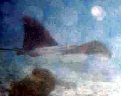 foto28a.jpg