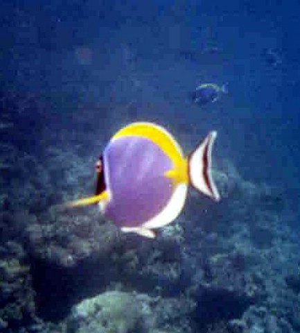 foto30a.jpg