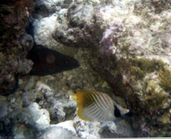foto37a.jpg