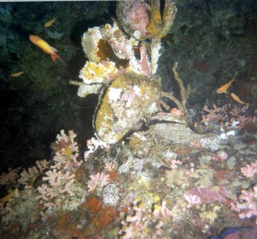 foto43a.jpg