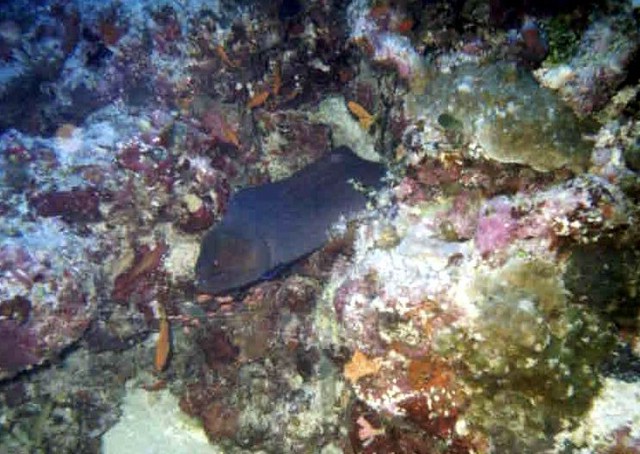 foto45a.jpg