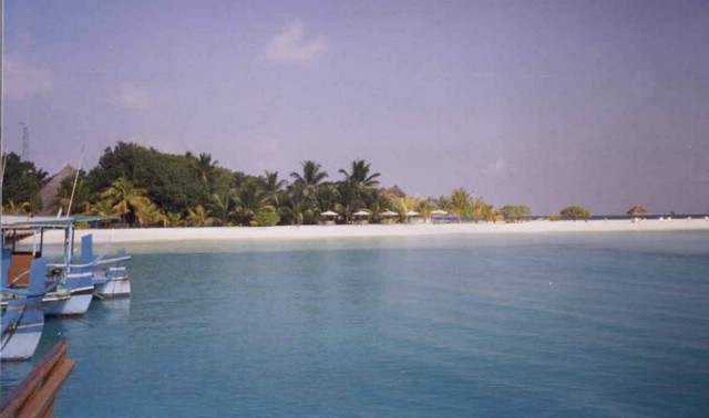 foto53.jpg