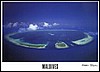 amaldive01.jpg