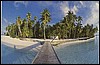 amaldive04.jpg