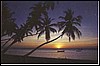 amaldive08.jpg