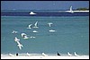 amaldive12.jpg