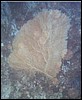 foto04.jpg